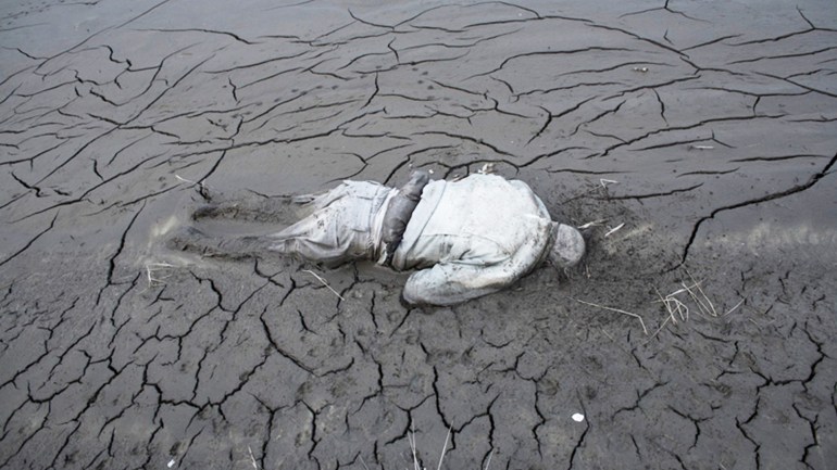 559c45d42d4d86965be19c72-1479497426330